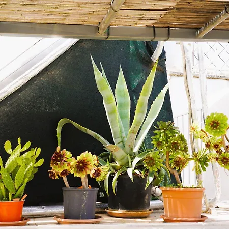 Dimora Dolce Vista - Relax Con Vista Ad 奥斯图尼